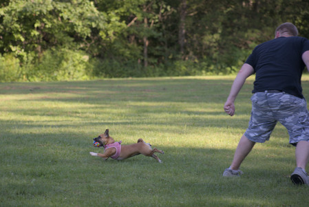 20250719_Dog park part two and baby__DSC0303_.jpg