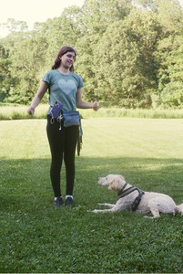 20250719_Film dog park also_000059970020_.jpg