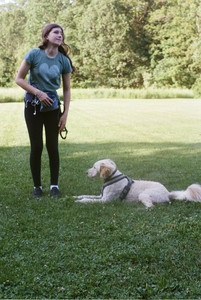 20250719_Film dog park also_000059970021_.jpg