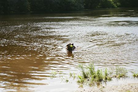 20250719_Film dog park_000059960010_.jpg