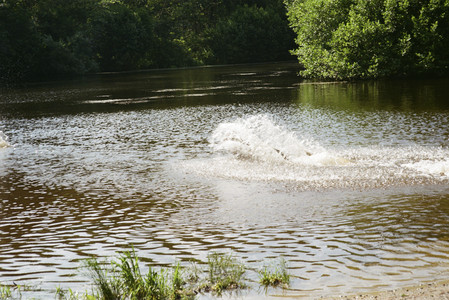 20250719_Film dog park_000059960011_.jpg