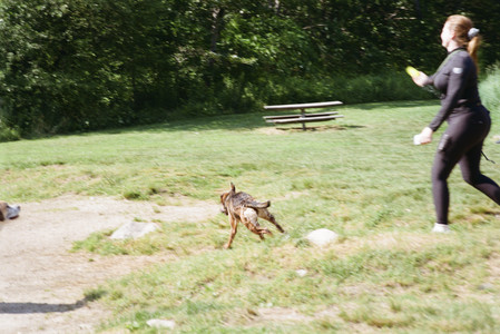20250719_Film dog park_000059960012_.jpg