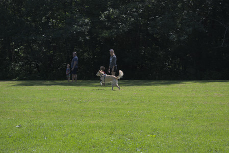 20250719_Flowers and dog park__DSC0065_.jpg