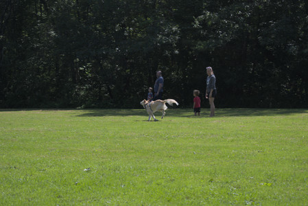 20250719_Flowers and dog park__DSC0066_.jpg