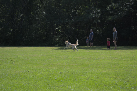 20250719_Flowers and dog park__DSC0067_.jpg