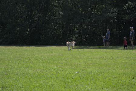 20250719_Flowers and dog park__DSC0068_.jpg