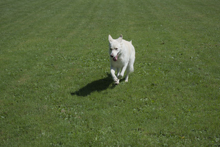 20250719_Flowers and dog park__DSC0075_.jpg