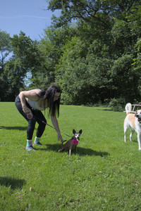 20250719_Flowers and dog park__DSC0082_.jpg