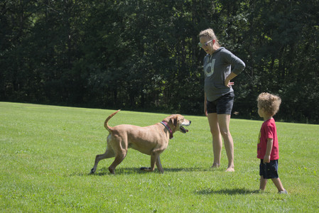 20250719_Flowers and dog park__DSC0086_.jpg