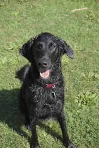 20250719_Flowers and dog park__DSC0102_.jpg