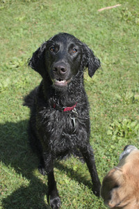 20250719_Flowers and dog park__DSC0105_.jpg