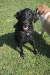 20250719_Flowers and dog park__DSC0107_.jpg