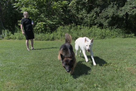 20250719_Flowers and dog park__DSC0112_.jpg