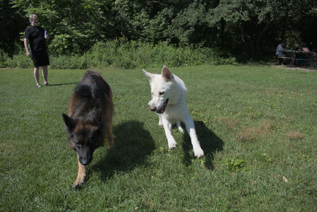 20250719_Flowers and dog park__DSC0113_.jpg