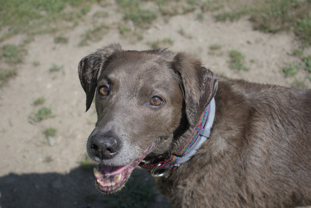 20250719_Flowers and dog park__DSC0116_.jpg