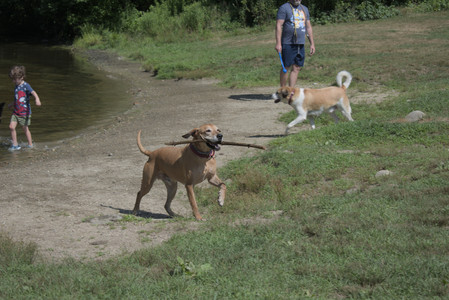 20250719_Flowers and dog park__DSC0126_.jpg