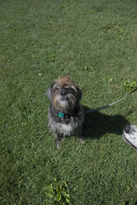 20250719_Flowers and dog park__DSC0137_.jpg