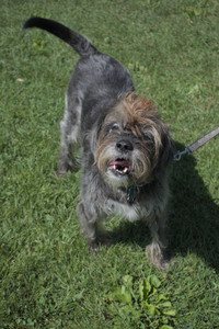 20250719_Flowers and dog park__DSC0139_.jpg