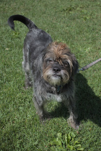 20250719_Flowers and dog park__DSC0141_.jpg