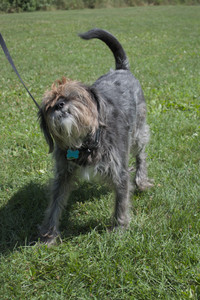 20250719_Flowers and dog park__DSC0143_.jpg