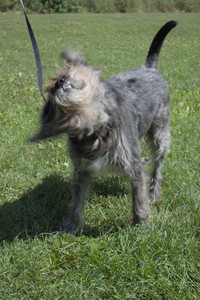 20250719_Flowers and dog park__DSC0144_.jpg