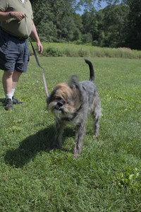 20250719_Flowers and dog park__DSC0145_.jpg