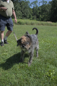 20250719_Flowers and dog park__DSC0146_.jpg