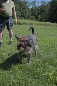 20250719_Flowers and dog park__DSC0147_.jpg