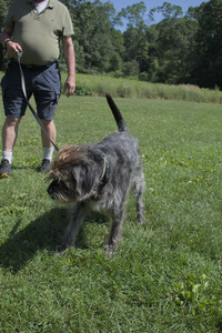 20250719_Flowers and dog park__DSC0148_.jpg