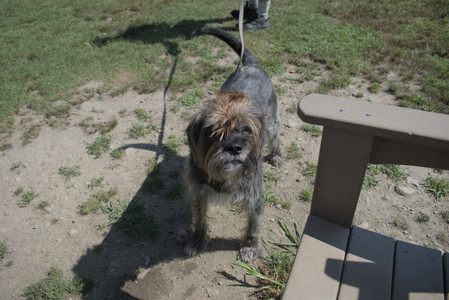 20250719_Flowers and dog park__DSC0150_.jpg