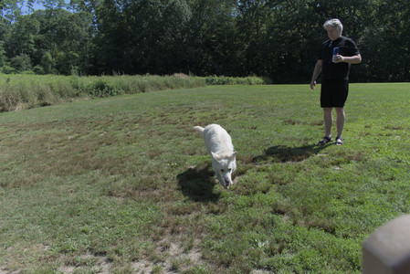 20250719_Flowers and dog park__DSC0153_.jpg