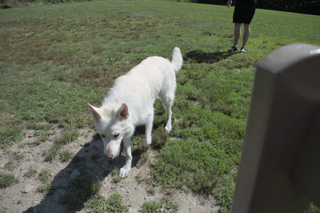 20250719_Flowers and dog park__DSC0155_.jpg