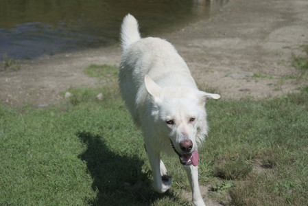 20250719_Flowers and dog park__DSC0157_.jpg