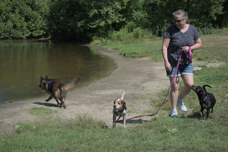 20250719_Flowers and dog park__DSC0162_.jpg