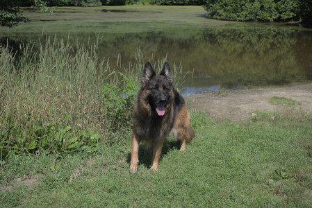 20250719_Flowers and dog park__DSC0184_.jpg