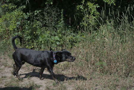 20250719_Flowers and dog park__DSC0187_.jpg