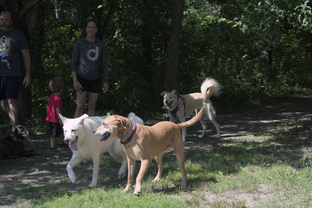 20250719_Flowers and dog park__DSC0217_.jpg