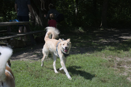 20250719_Flowers and dog park__DSC0222_.jpg