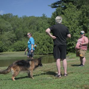 20250719_Flowers and dog park__DSC0244_.jpg