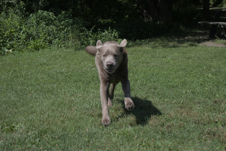 20250719_Flowers and dog park__DSC0249_.jpg