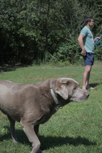 20250719_Flowers and dog park__DSC0254_.jpg