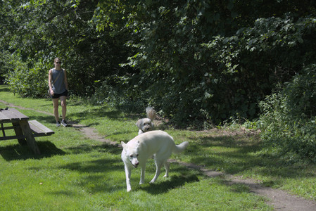 20250719_Flowers and dog park__DSC0255_.jpg