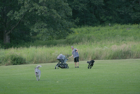 20250725_Dog Park et alia__DSC0083_.jpg