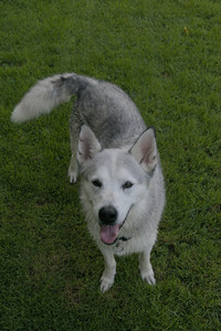 20250725_Dog Park et alia__DSC0100_.jpg