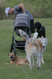 20250725_Dog Park et alia__DSC0103_.jpg