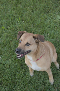 20250725_Dog Park et alia__DSC0109_.jpg