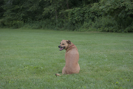 20250725_Dog Park et alia__DSC0117_.jpg