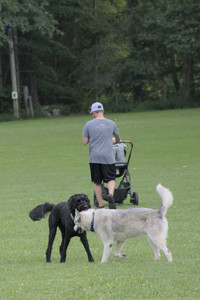 20250725_Dog Park et alia__DSC0135_.jpg