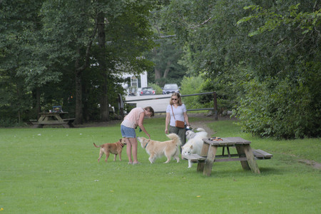 20250725_Dog Park et alia__DSC0157_.jpg