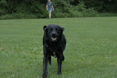 20250725_Dog Park et alia__DSC0170_.jpg